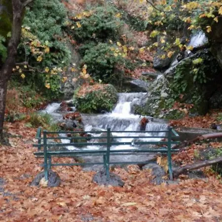 Experience Nature And Country Life *